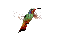 2589135_7c843