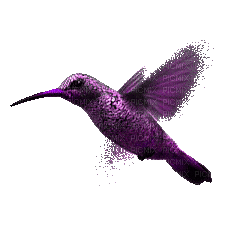 2621417_333f9